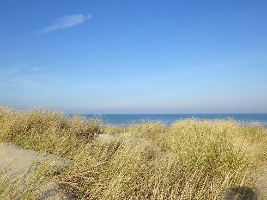 Evancy La Brise Des Dunes Bray-Dunes Esterno foto